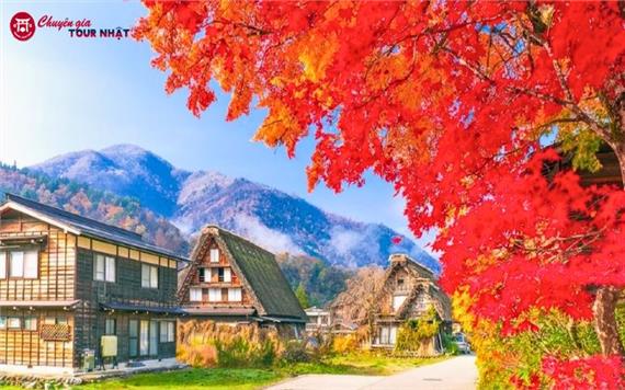 Tour Nhật Bản Mùa Thu 6N5Đ: Làng Cổ Shirakawa-go